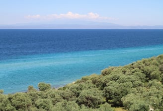 aegean sea and olive tree field