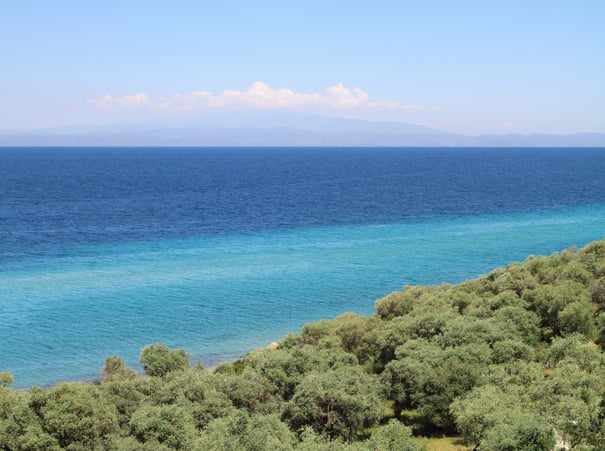 aegean sea and olive tree field
